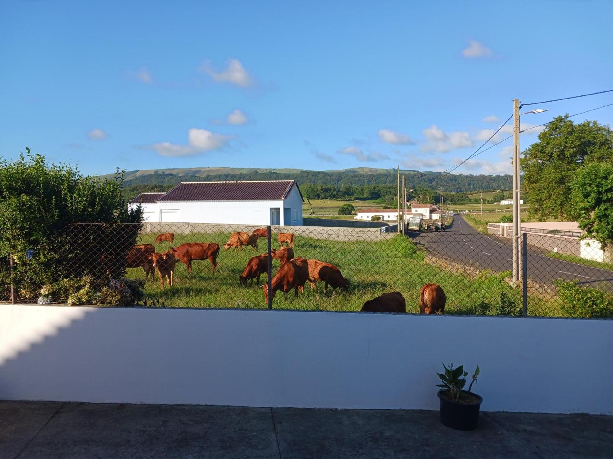 Apartmán O Postigo Praia da Vitória Exteriér fotografie