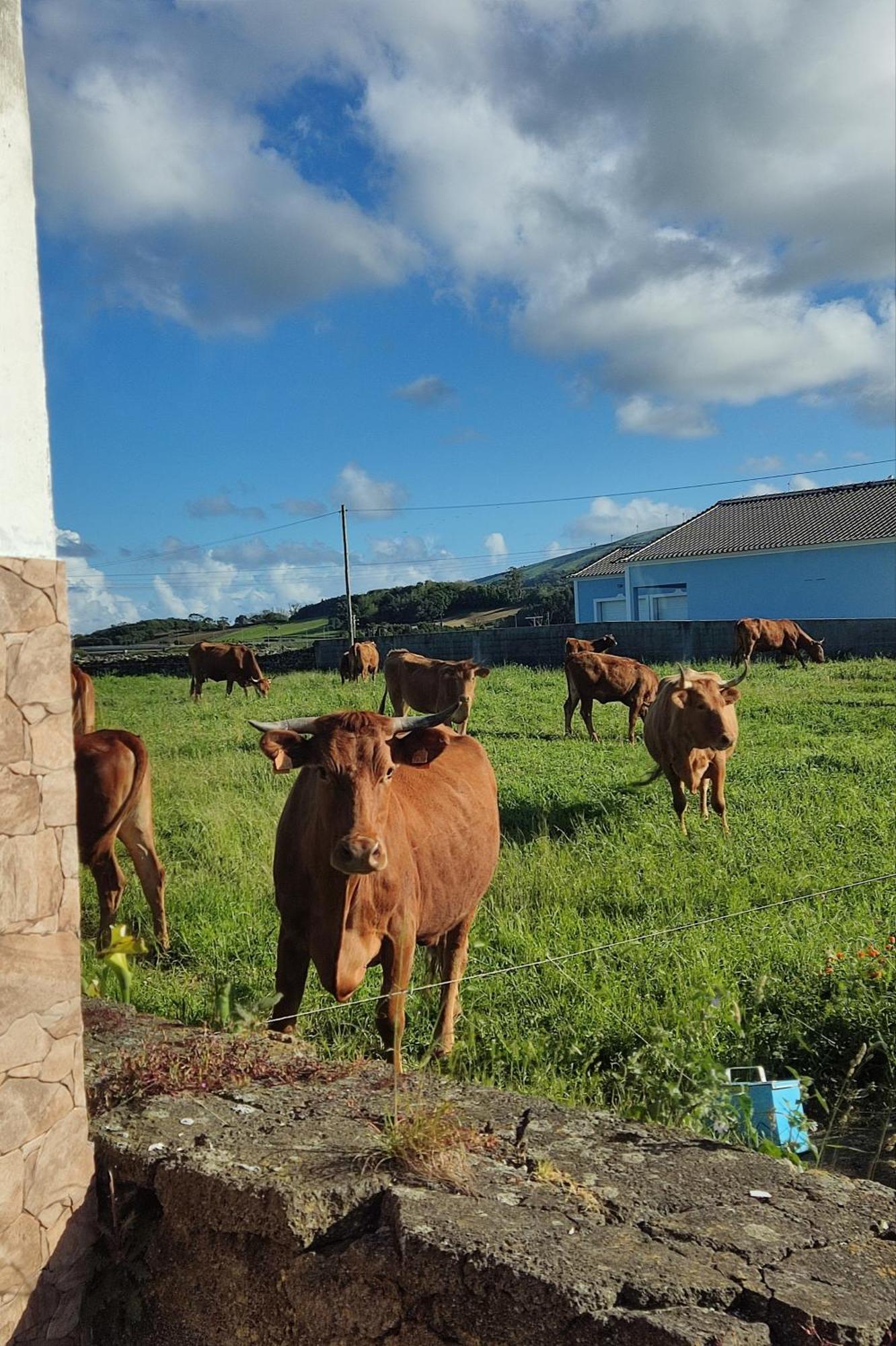 Apartmán O Postigo Praia da Vitória Exteriér fotografie